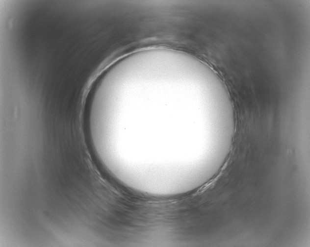 X0000069410150200605121058