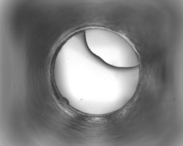 X0000069410151200605121058