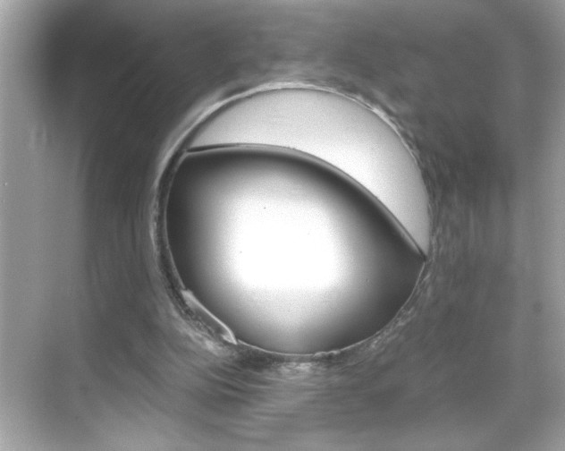 X0000069410152200605121058