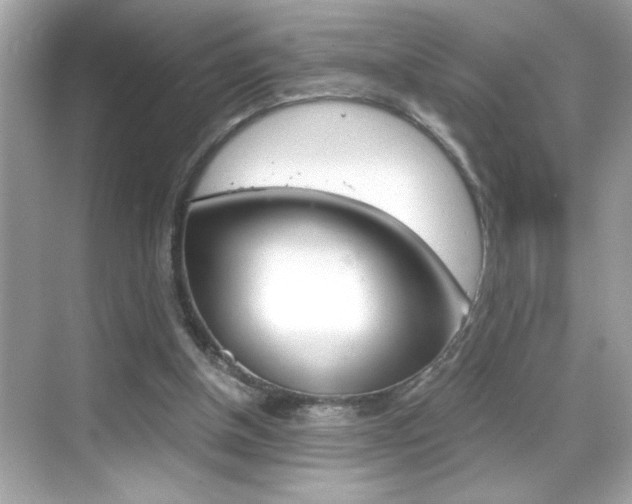 X0000069410154200605121058