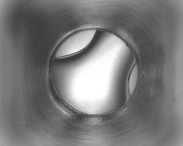 X0000069410156200605121058
