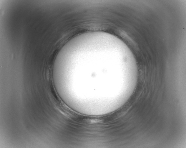 X0000069410165200605121058