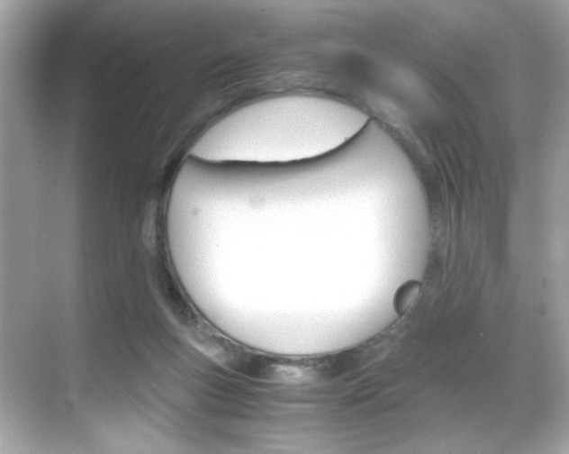 X0000069410167200605121058
