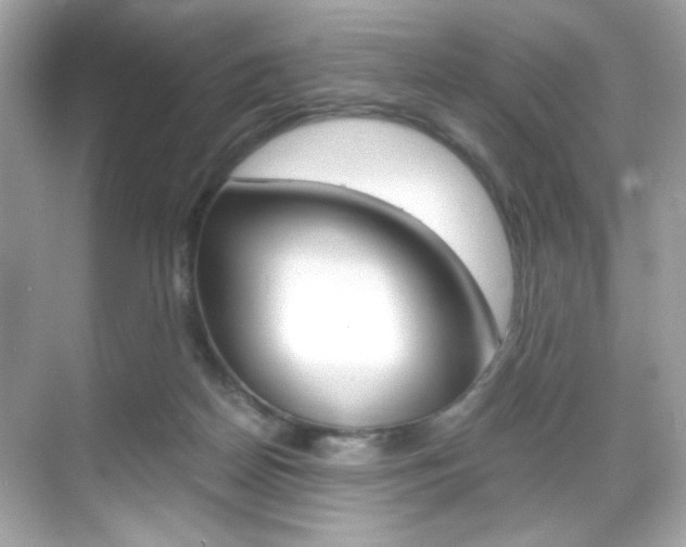 X0000069410170200605121058
