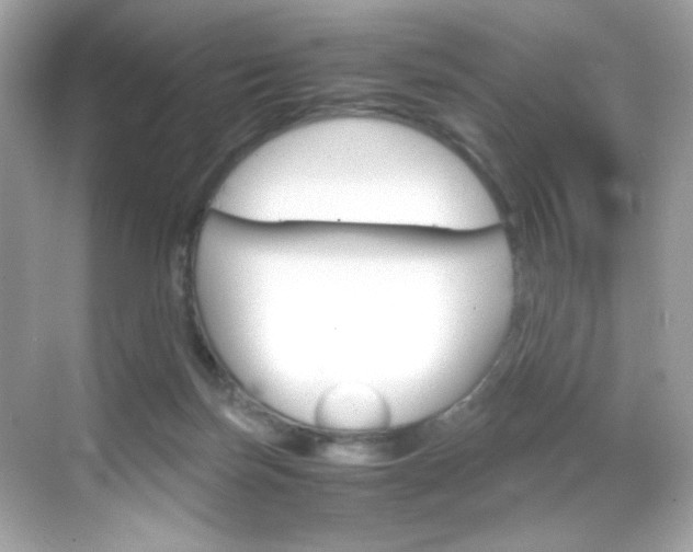 X0000069410171200605121058
