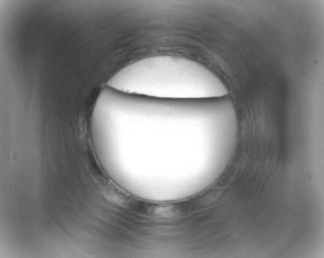 X0000069410173200605121058