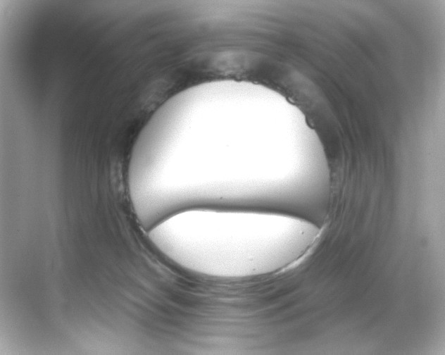 X0000069410182200605121058