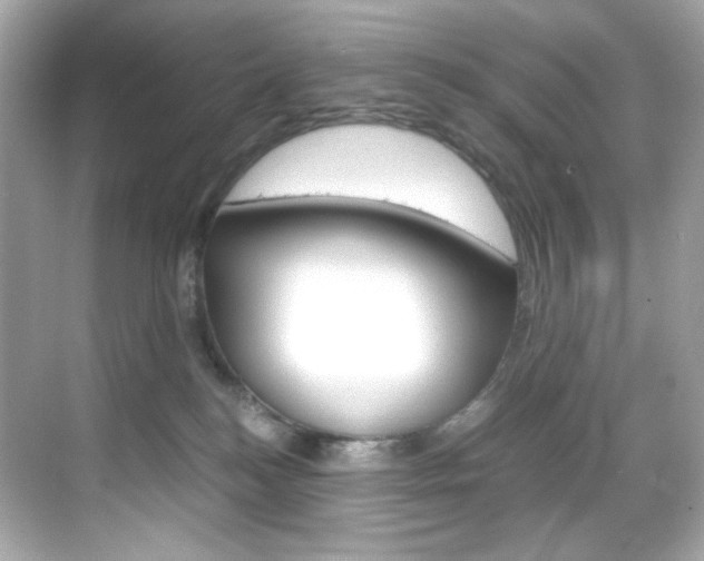 X0000069410184200605121058