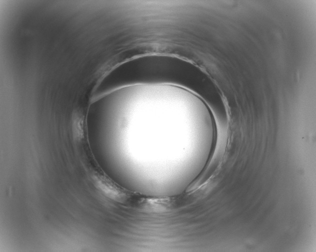 X0000069410188200605121058