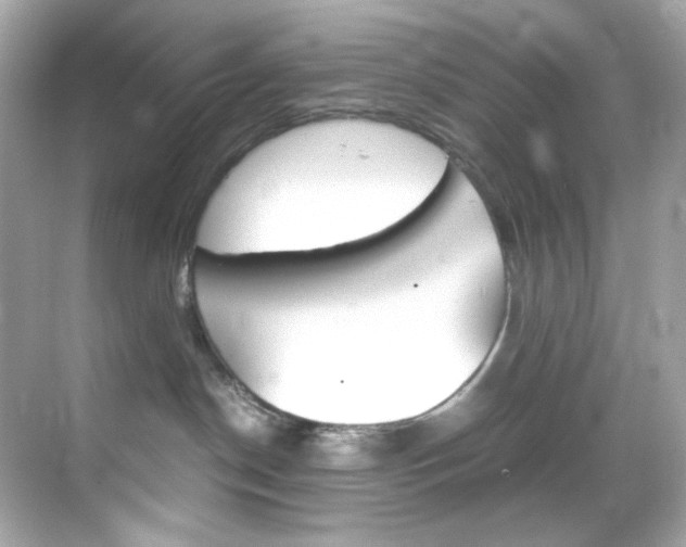 X0000069410190200605121058
