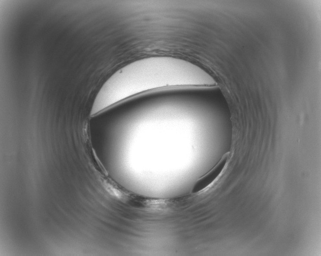 X0000069410192200605121058