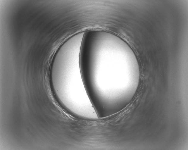 X0000069410193200605121058