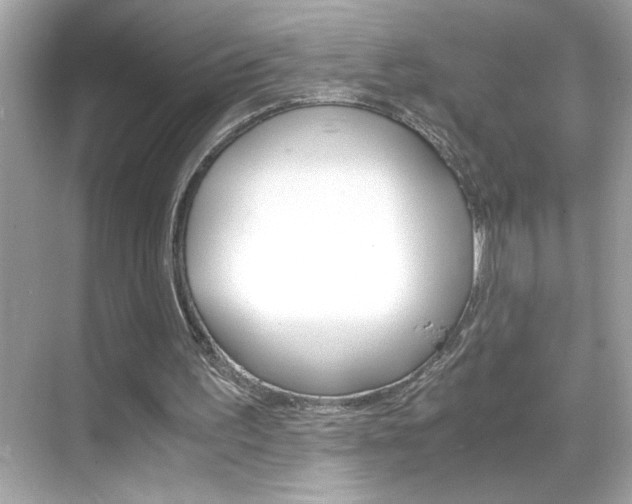 X0000069410195200605121058