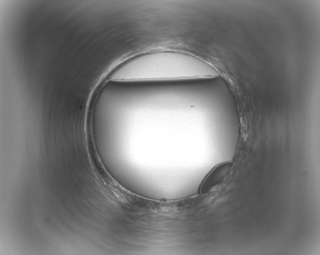 X0000069410196200605121057