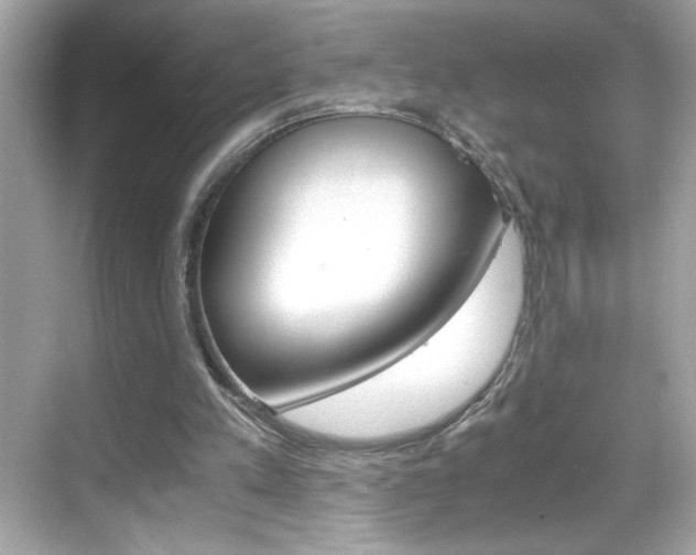 X0000069410197200605121057