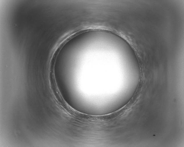 X0000069410199200605121057