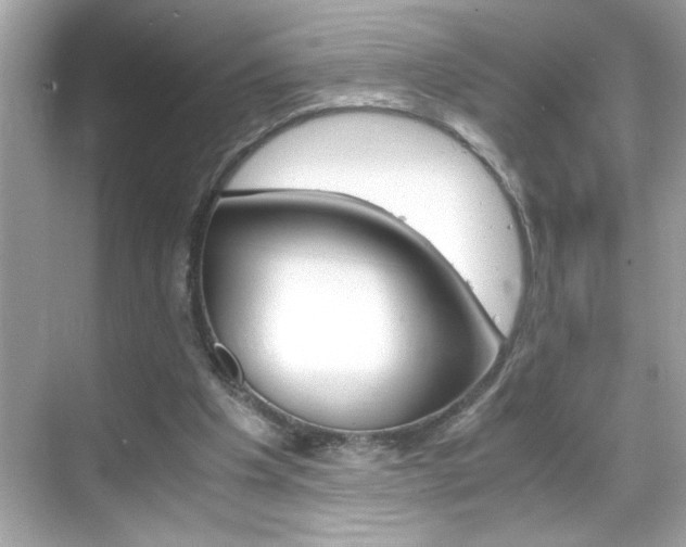 X0000069410201200605121057