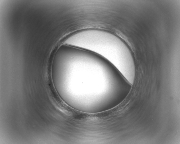 X0000069410203200605121057