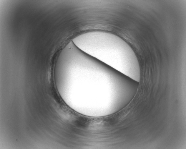 X0000069410206200605121057