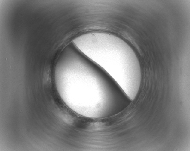 X0000069410212200605121057