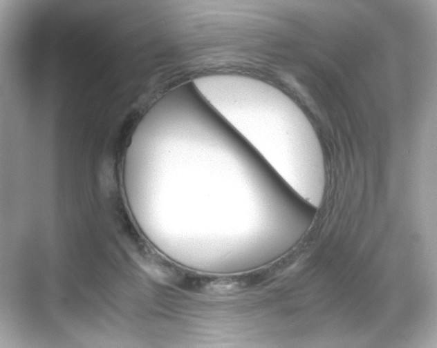 X0000069410213200605121057