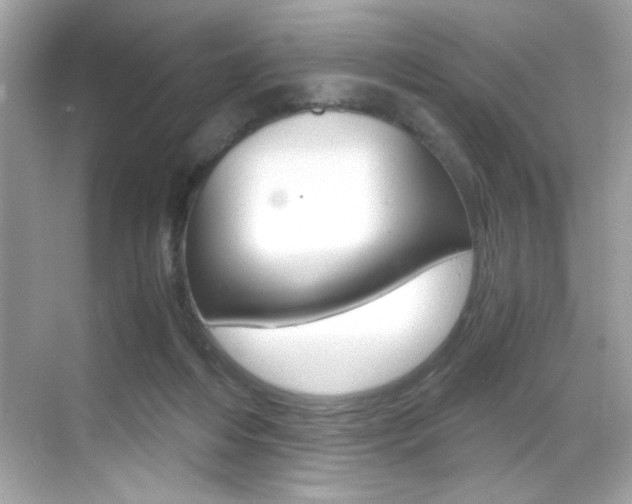 X0000069410216200605121057