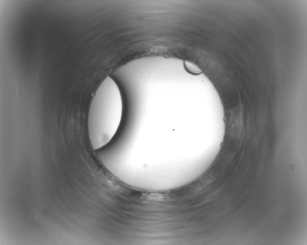 X0000069410230200605121057
