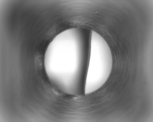 X0000069410232200605121057
