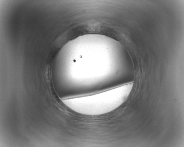 X0000069410233200605121057