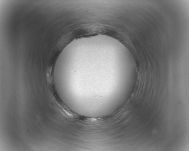 X0000069410239200605121057