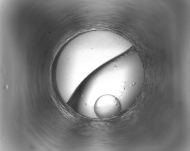X0000069410242200605121056