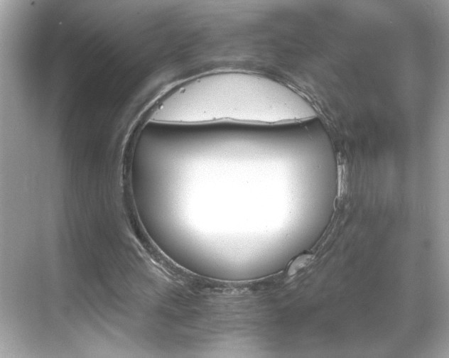 X0000069410243200605121056