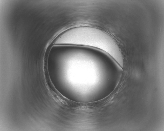 X0000069410244200605121056