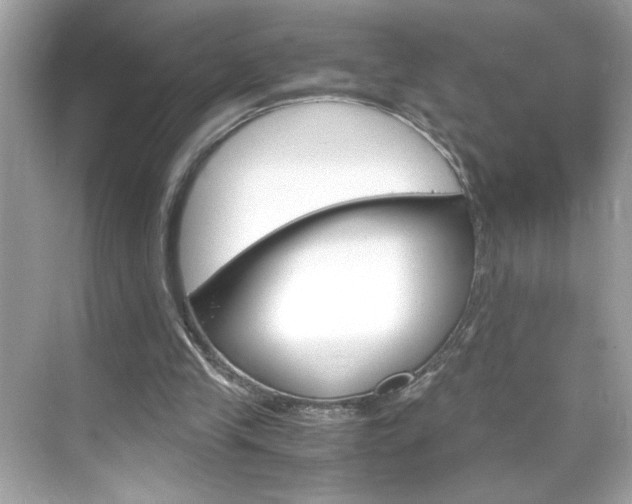 X0000069410245200605121056