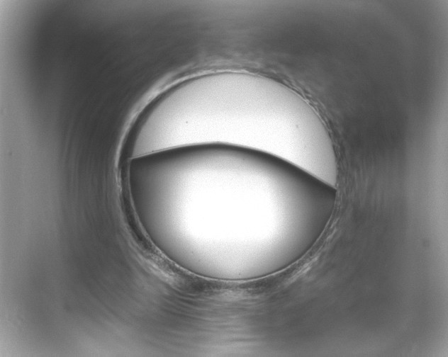 X0000069410246200605121056