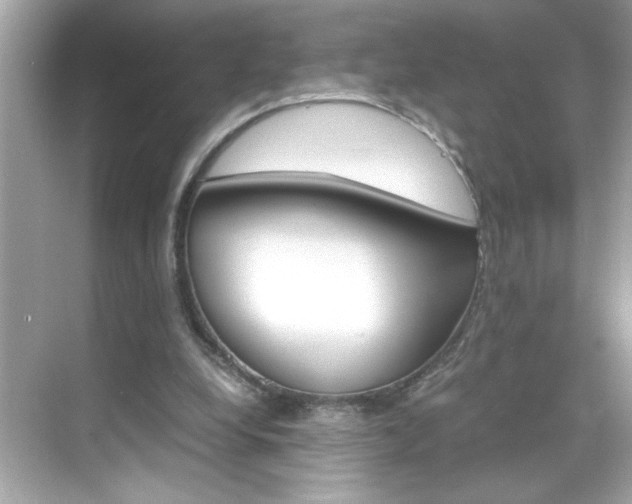 X0000069410248200605121056