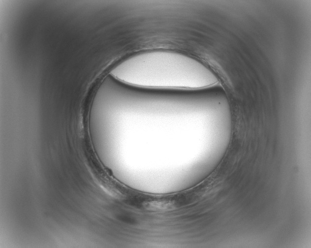 X0000069410251200605121056