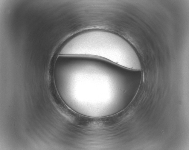 X0000069410252200605121056
