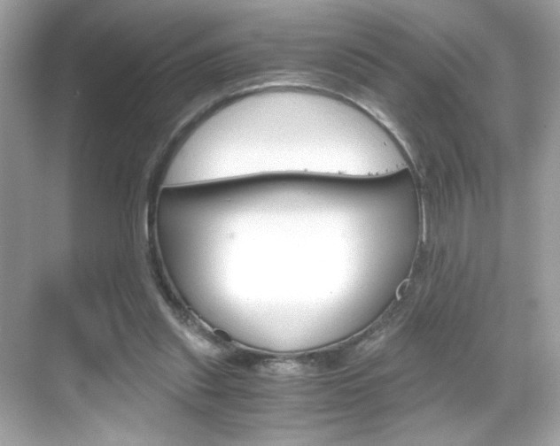 X0000069410253200605121056