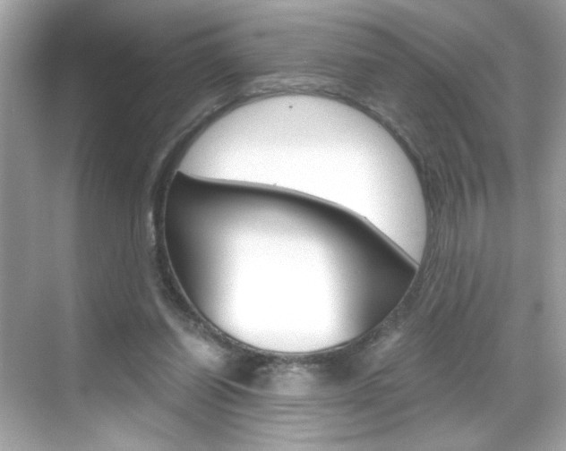 X0000069410254200605121056