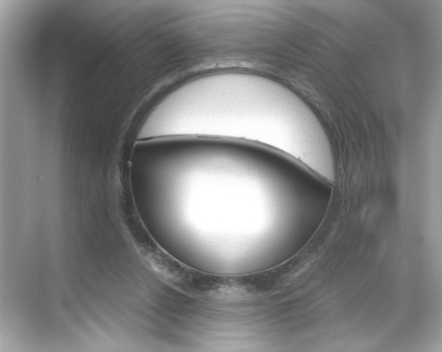 X0000069410256200605121056