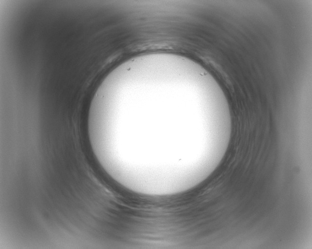 X0000069410260200605121056