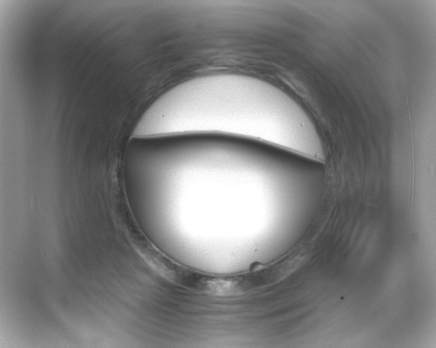 X0000069410265200605121056