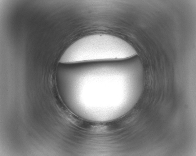 X0000069410266200605121056