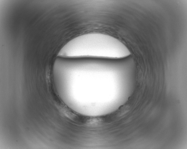 X0000069410274200605121057