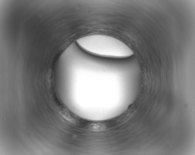 X0000069410275200605121057