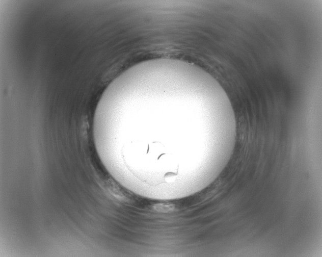 X0000069410279200605121057