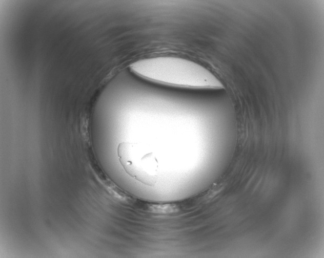 X0000069410281200605121057
