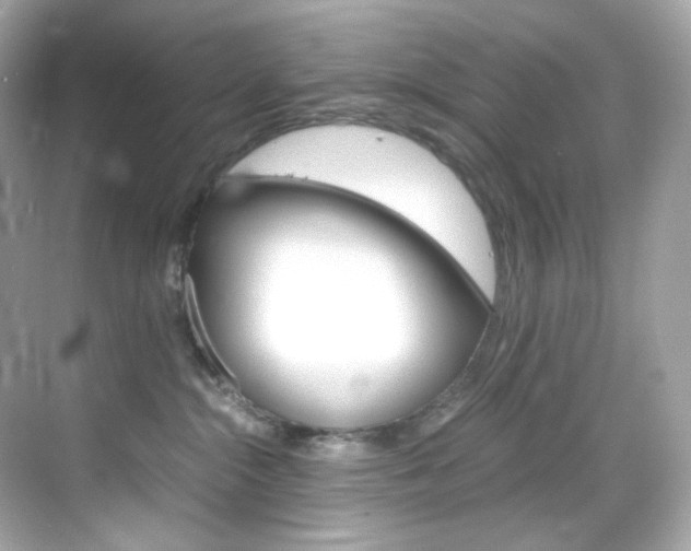 X0000069410284200605121057