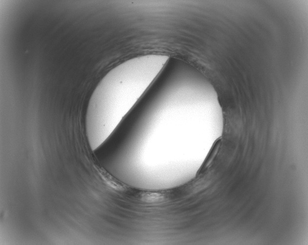 X0000069410287200605121057